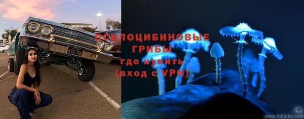 винт Баксан