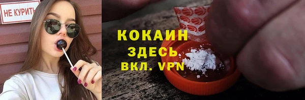 индика Балахна