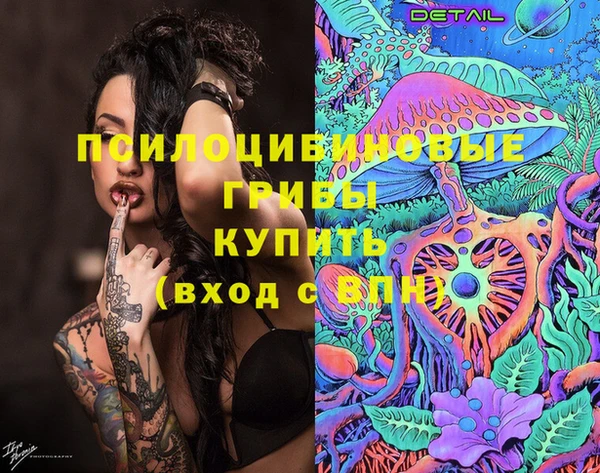 индика Балахна