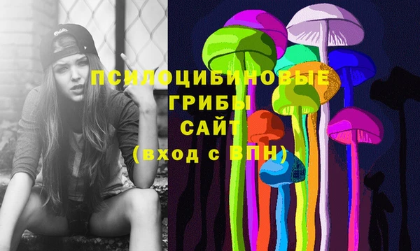 винт Баксан