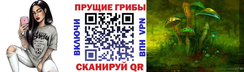 KRAKEN ссылки  Петровск-Забайкальский  Псилоцибиновые грибы Psilocybine cubensis  где продают наркотики 